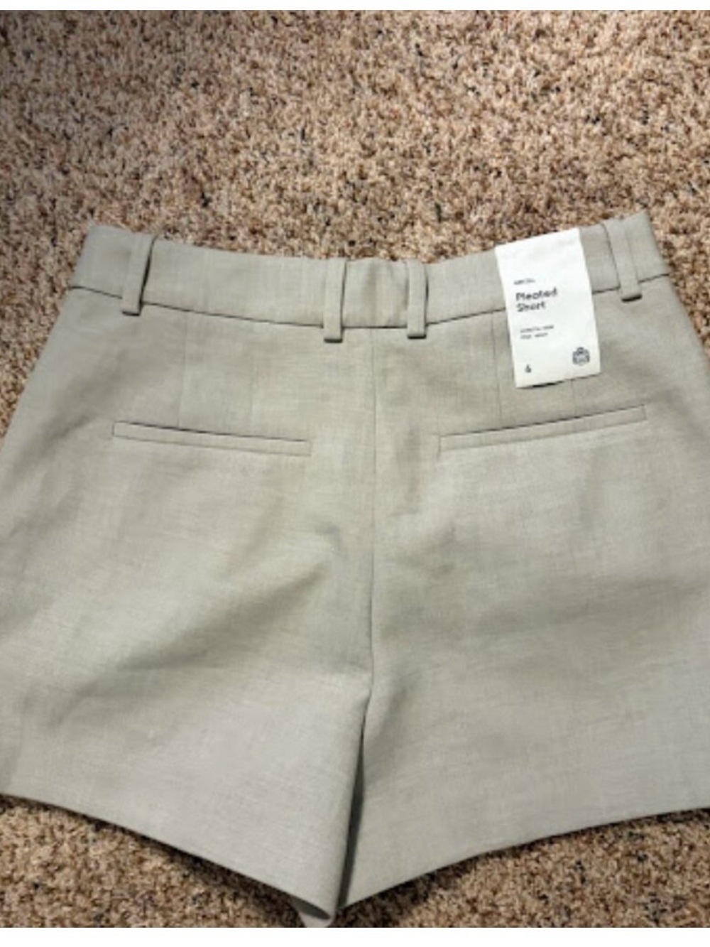 Aritzia Pleated Shorts - Picture 2 of 4